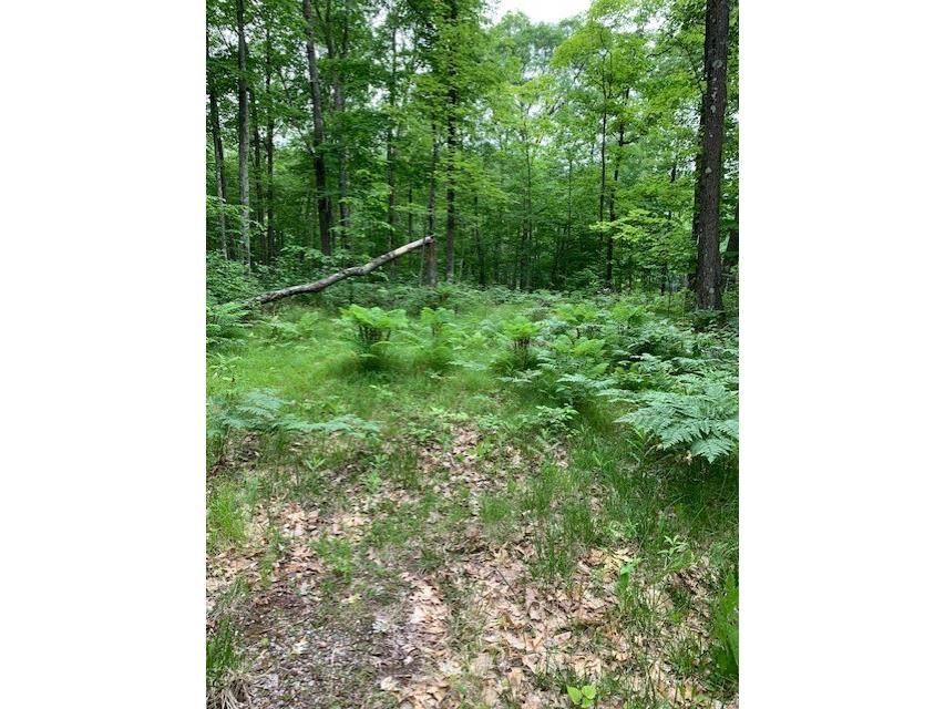  Hayward WI 54843 - Grindstone Lake 1601882 image13