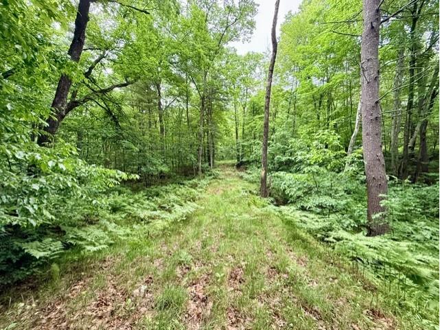 Hayward WI 54843 - Grindstone Lake 1601882 image2