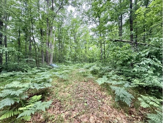  Hayward WI 54843 - Grindstone Lake 1601882 image3