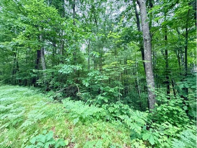  Hayward WI 54843 - Grindstone Lake 1601882 image4