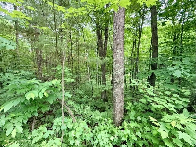  Hayward WI 54843 - Grindstone Lake 1601882 image5