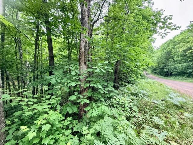  Hayward WI 54843 - Grindstone Lake 1601882 image6