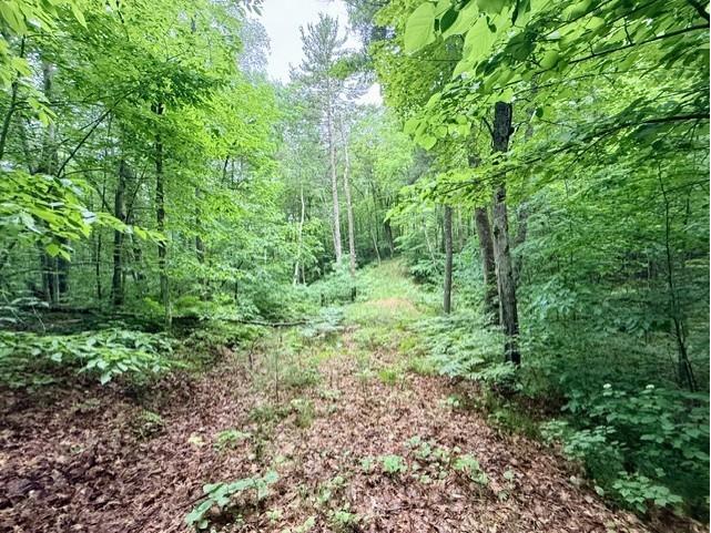  Hayward WI 54843 - Grindstone Lake 1601882 image7