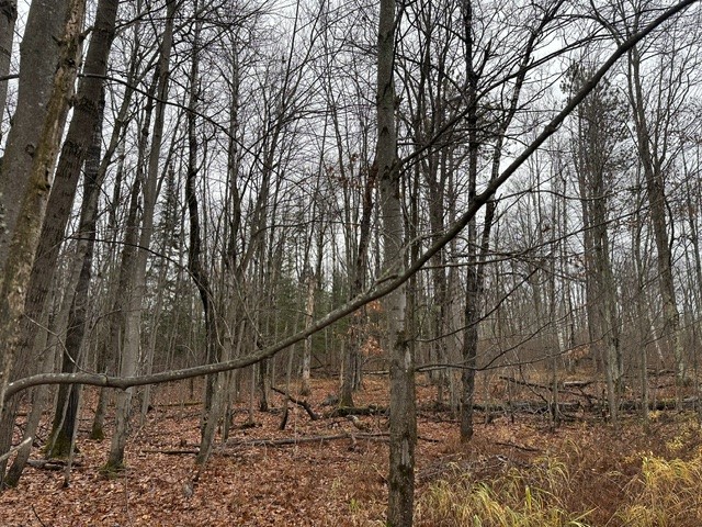  Hayward WI 54843 1601956 image1