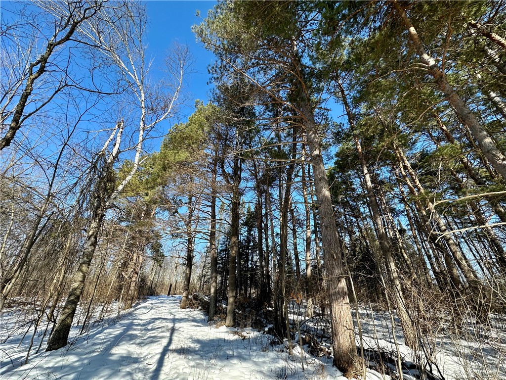  Ladysmith WI 54848 1598917 image16