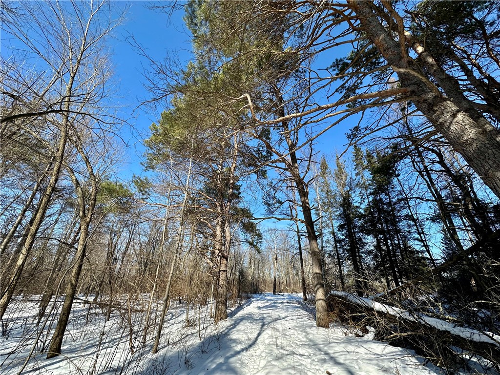  Ladysmith WI 54848 1598917 image24