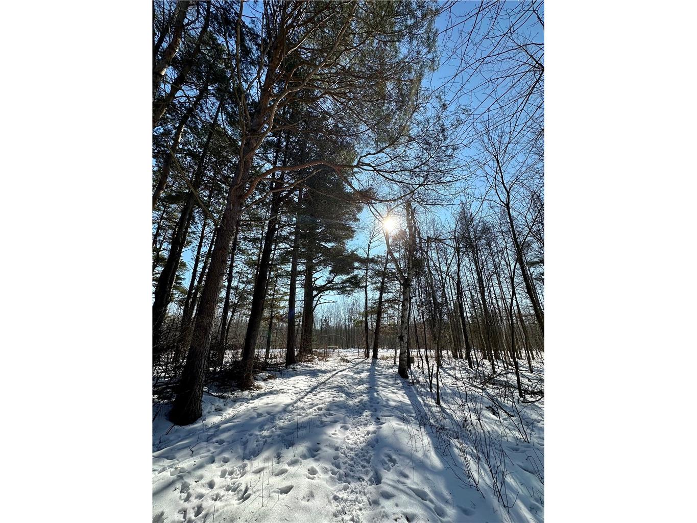  Ladysmith WI 54848 1598917 image25