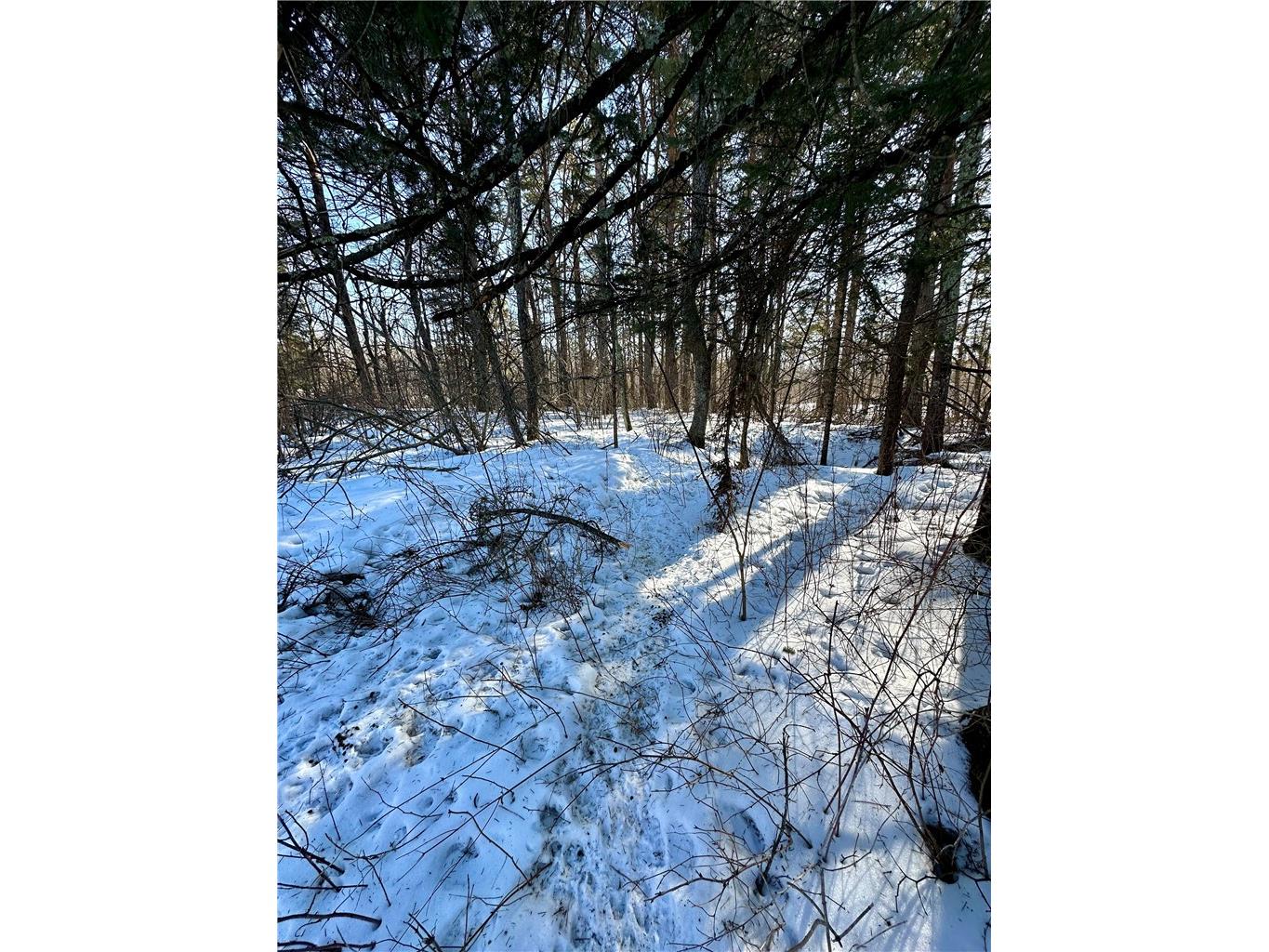  Ladysmith WI 54848 1598917 image26