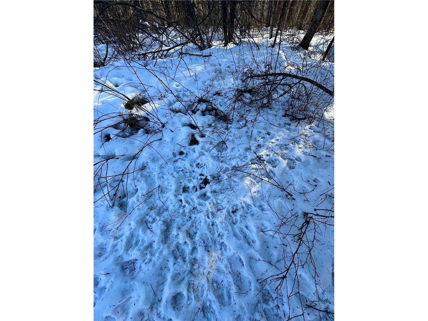  Ladysmith WI 54848 1598917 image28