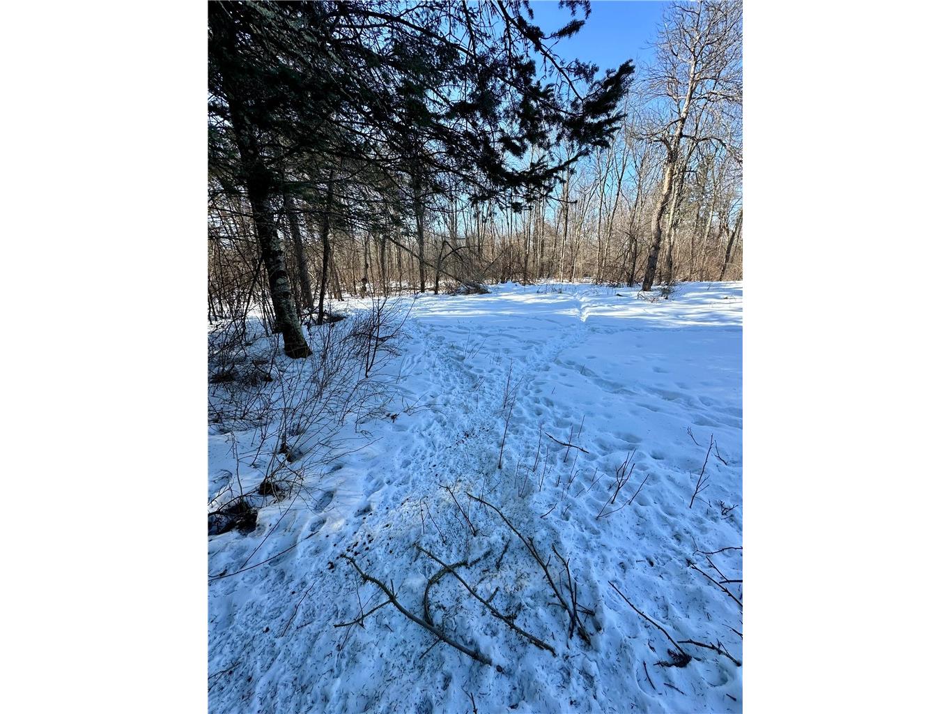  Ladysmith WI 54848 1598917 image30