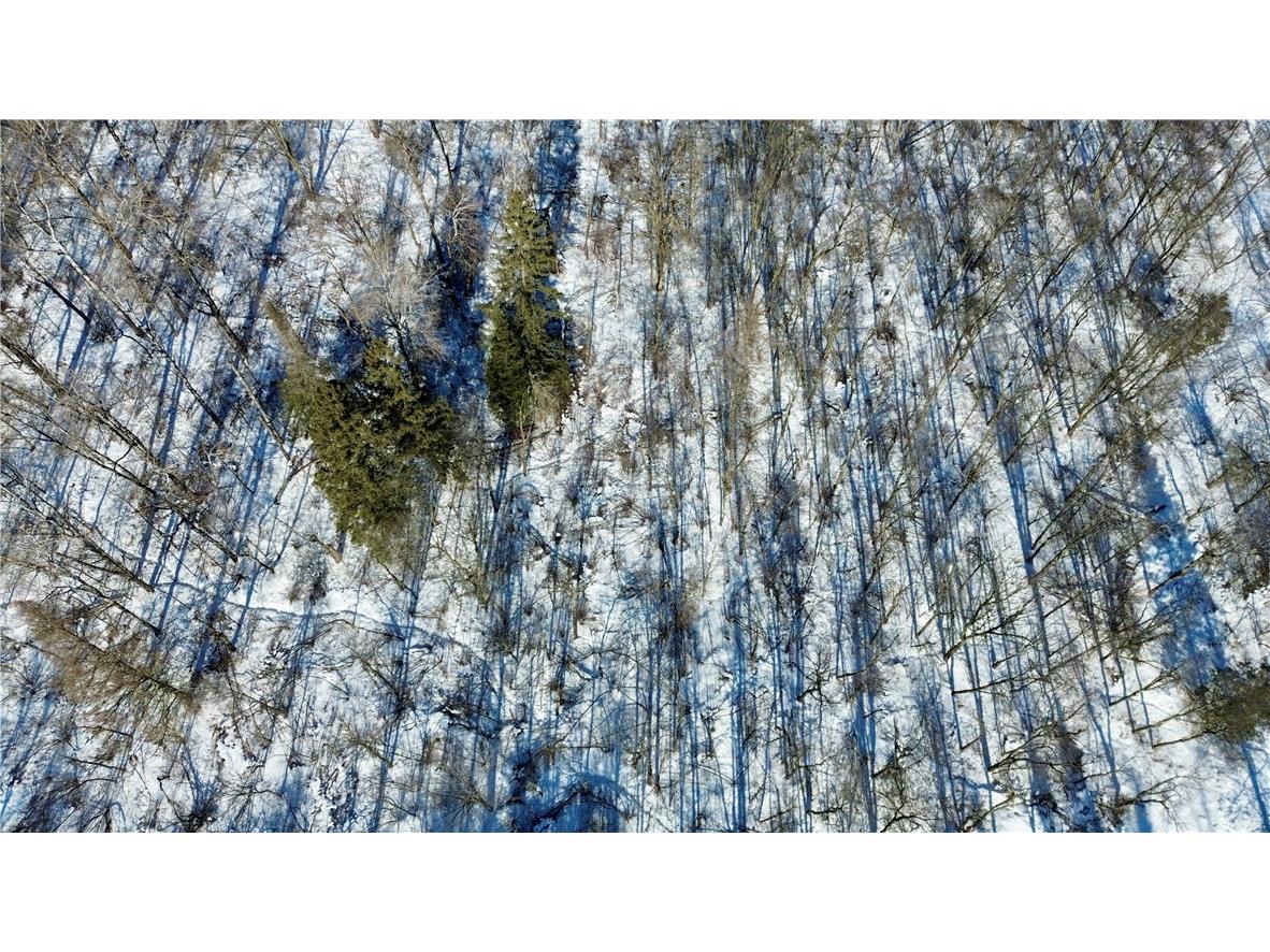  Ladysmith WI 54848 1598917 image33