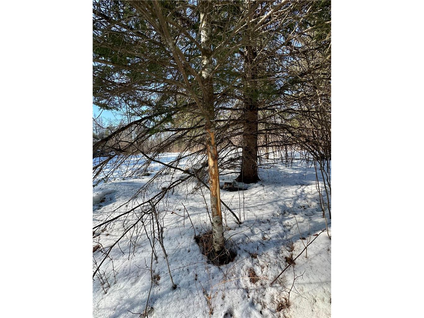  Ladysmith WI 54848 1598917 image39