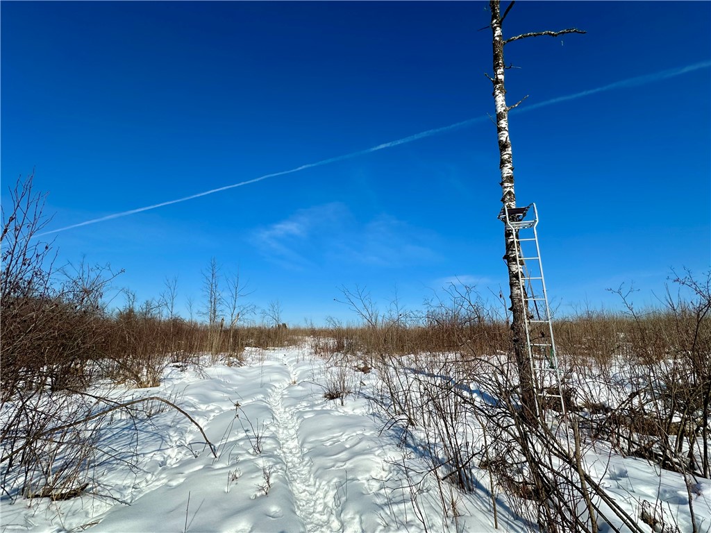  Ladysmith WI 54848 1598917 image41