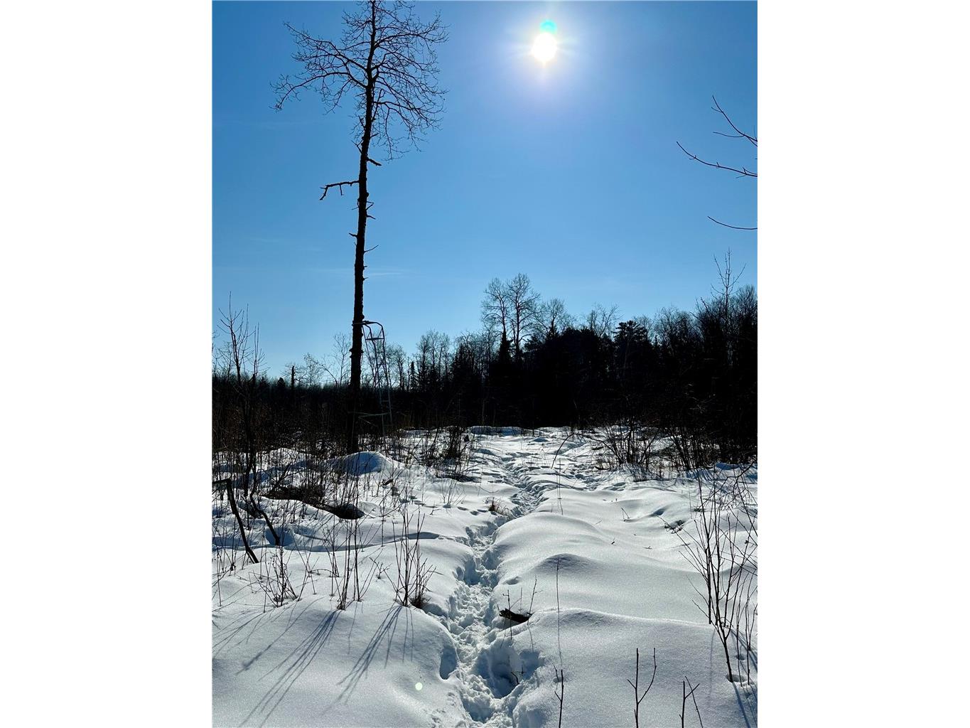  Ladysmith WI 54848 1598917 image42
