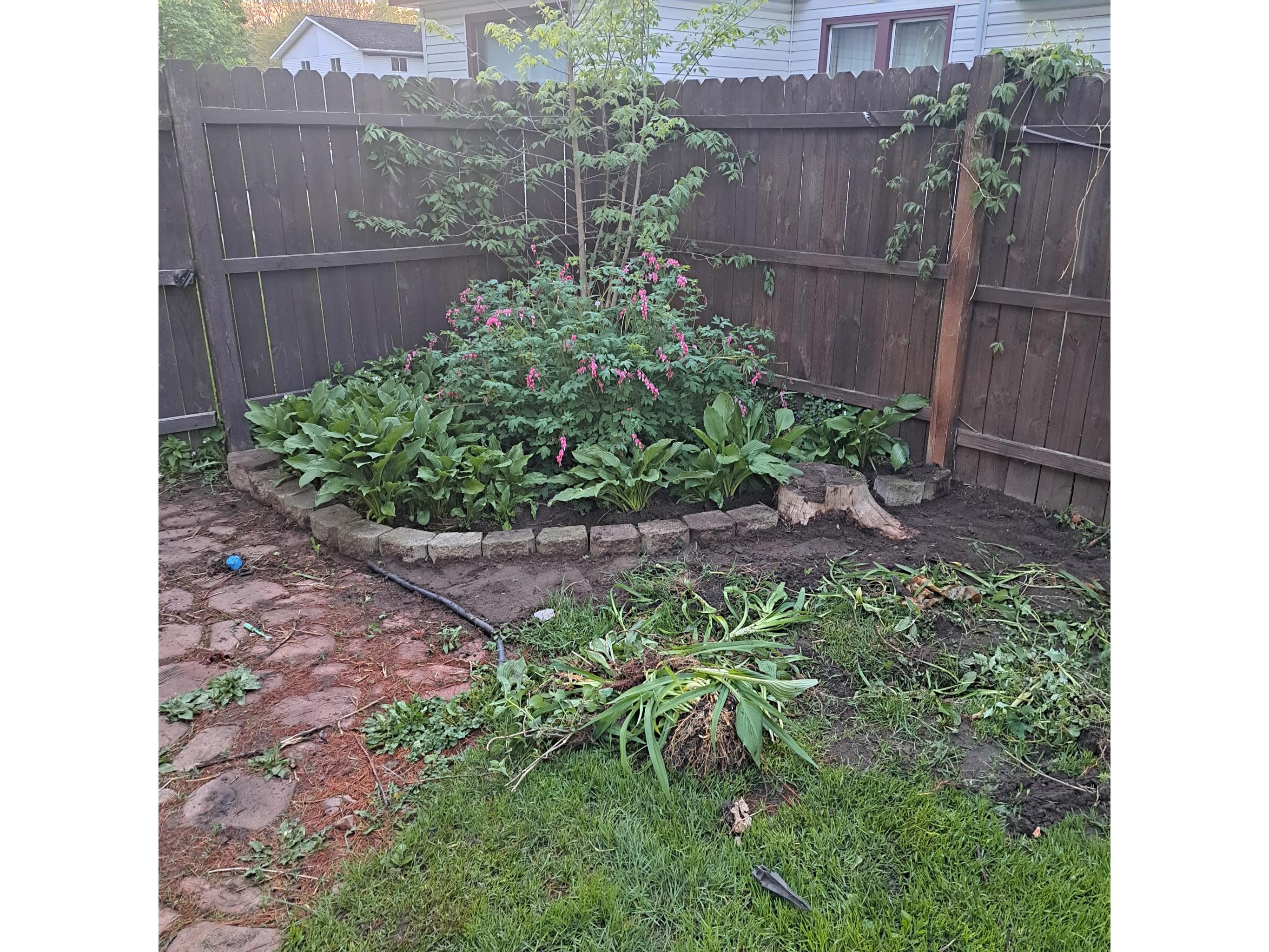  Menomonie WI 54751 1599781 image21