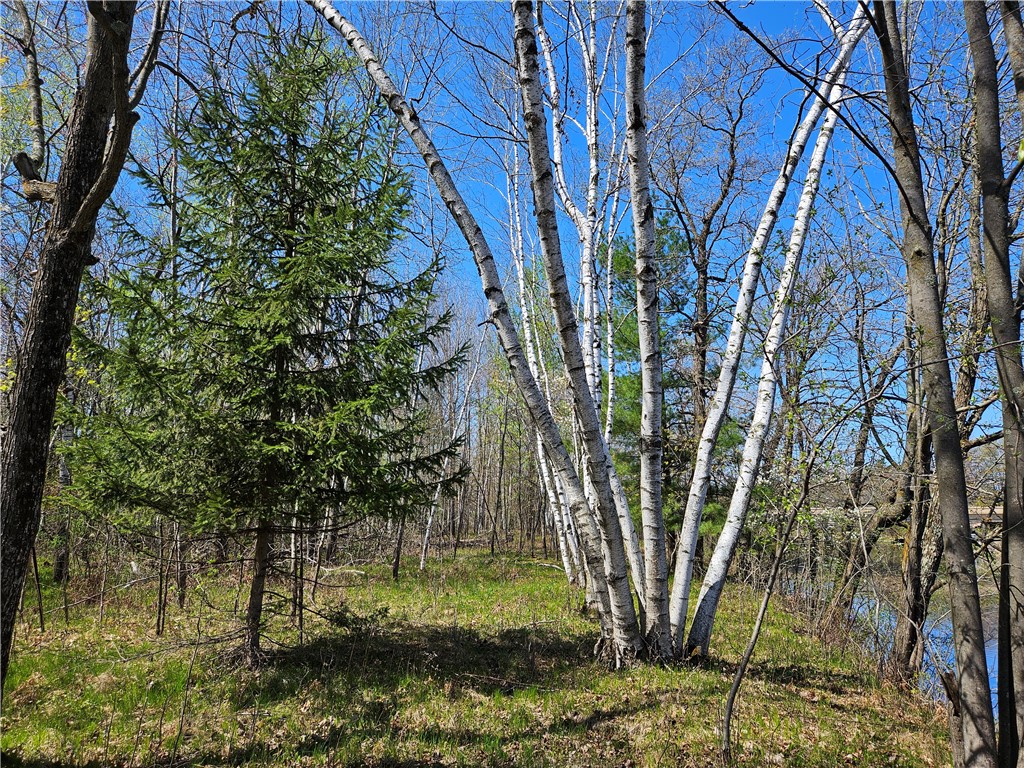  Rice Lake WI 54868 - Red Cedar 1591378 image12