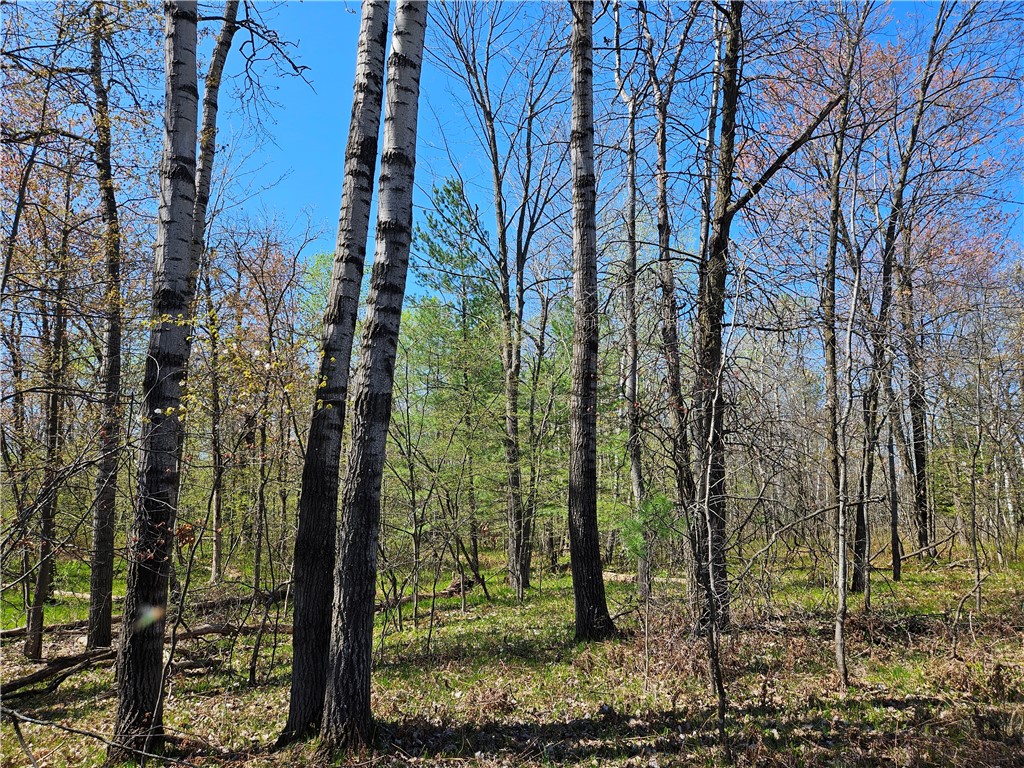  Rice Lake WI 54868 - Red Cedar 1591378 image15