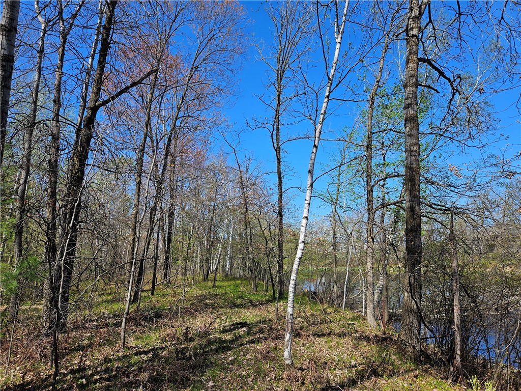  Rice Lake WI 54868 - Red Cedar 1591378 image16