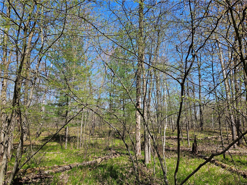  Rice Lake WI 54868 - Red Cedar 1591378 image17