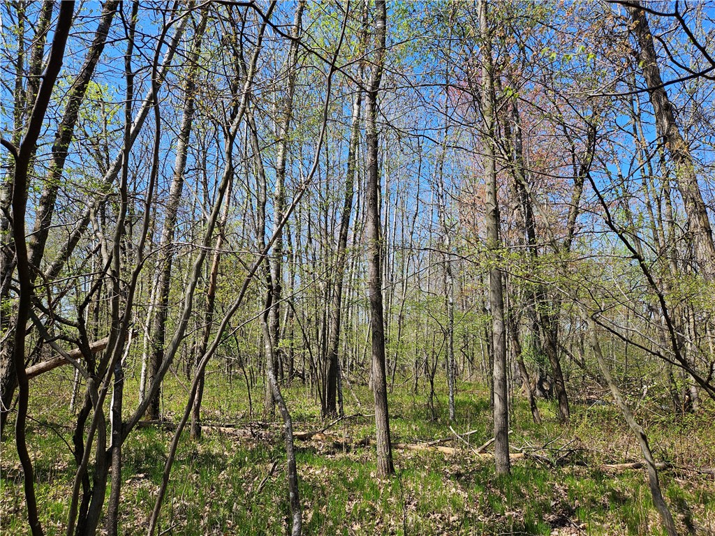  Rice Lake WI 54868 - Red Cedar 1591378 image18