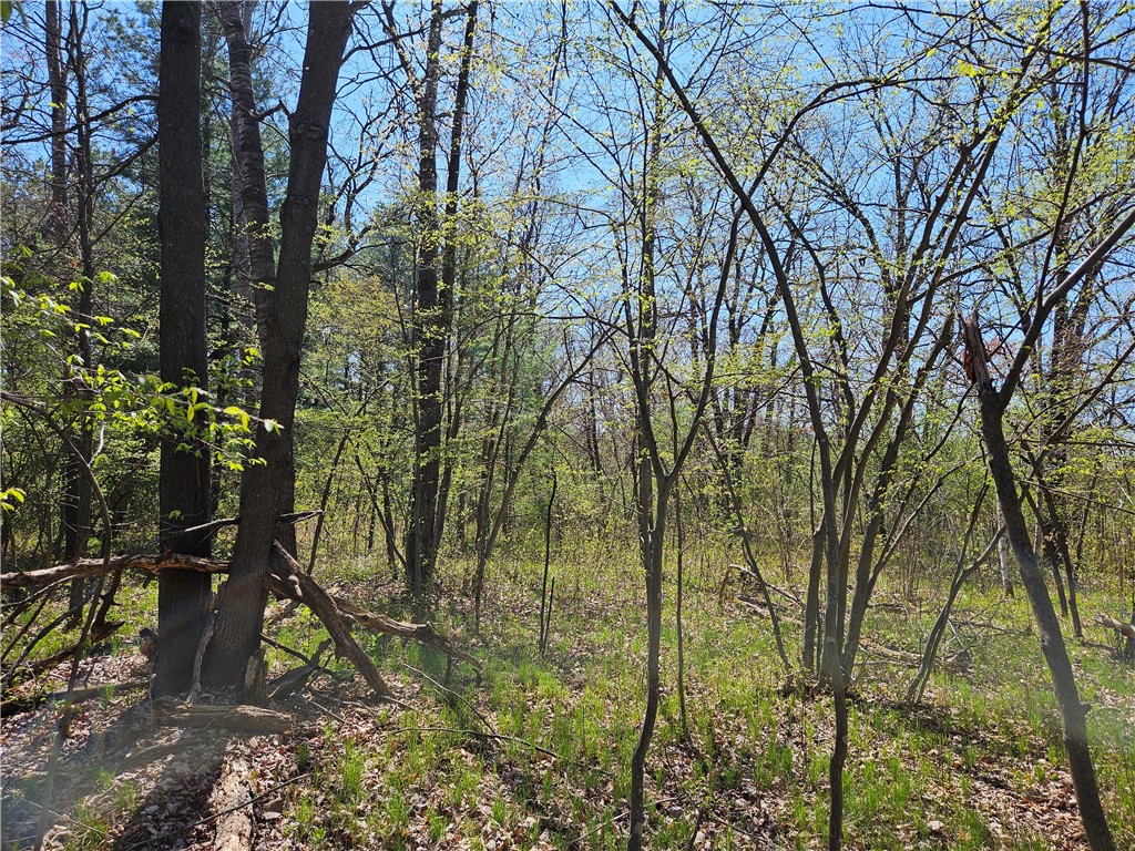  Rice Lake WI 54868 - Red Cedar 1591378 image19