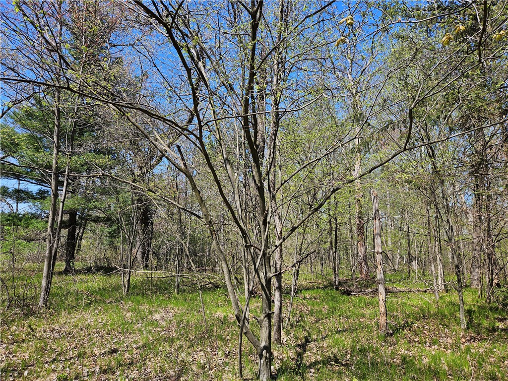  Rice Lake WI 54868 - Red Cedar 1591378 image20