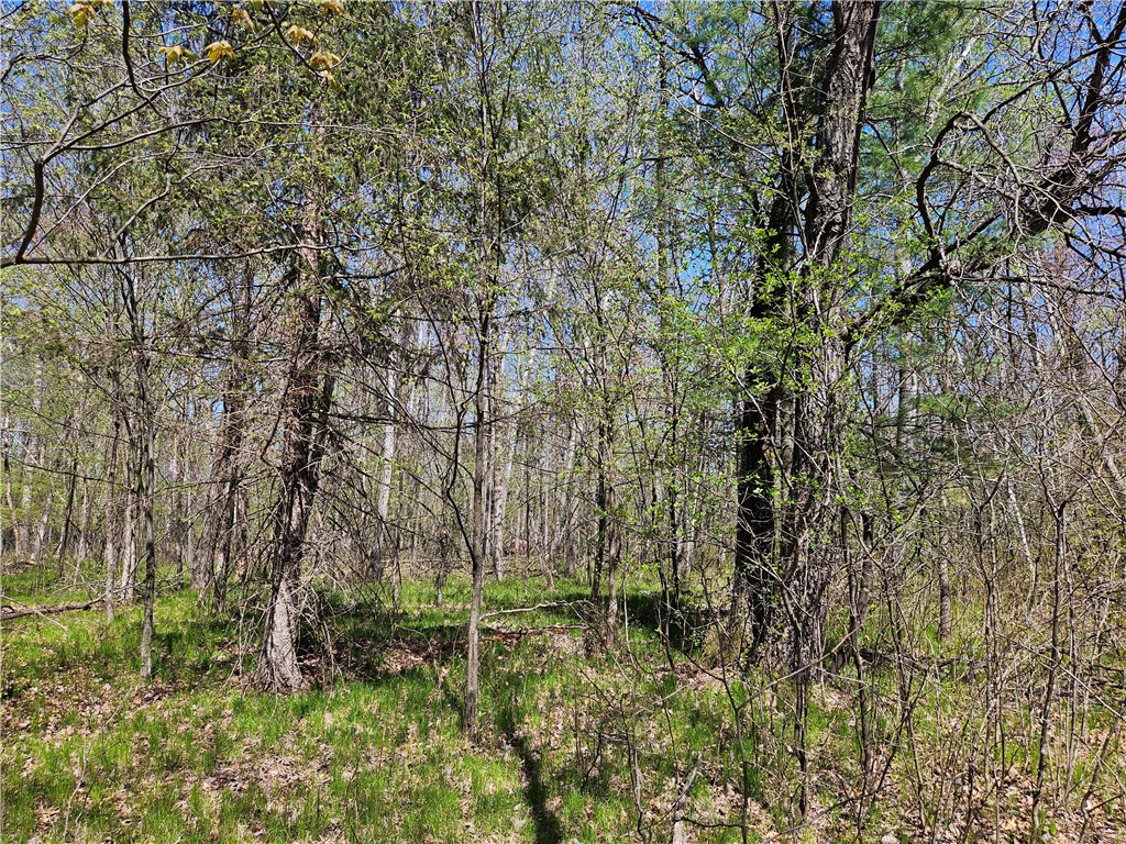  Rice Lake WI 54868 - Red Cedar 1591378 image21