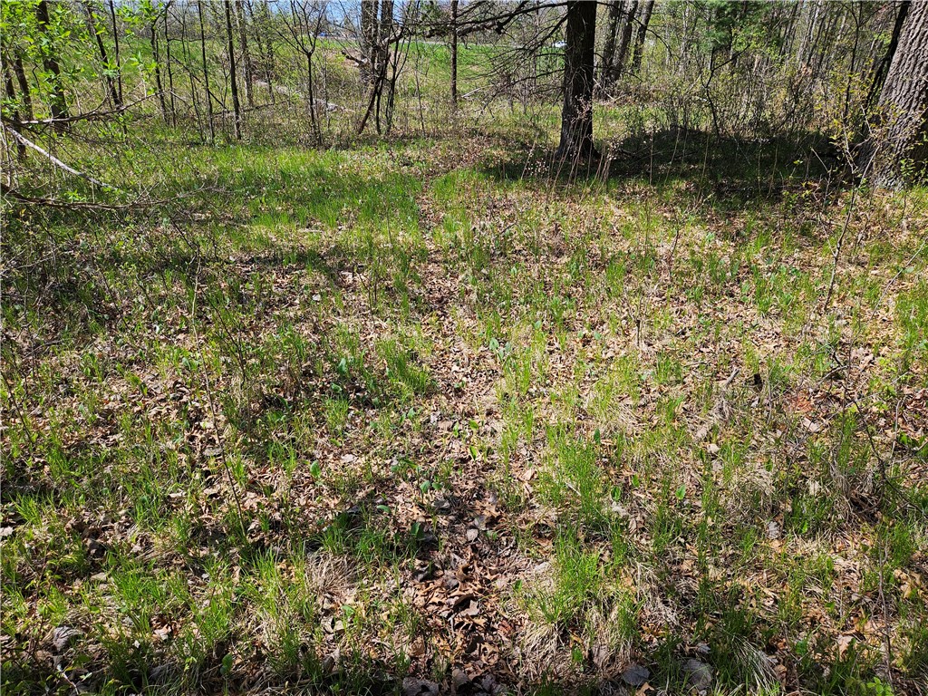  Rice Lake WI 54868 - Red Cedar 1591378 image22