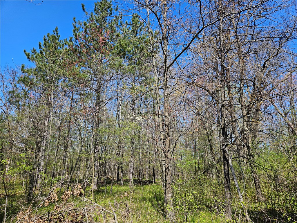  Rice Lake WI 54868 - Red Cedar 1591378 image23