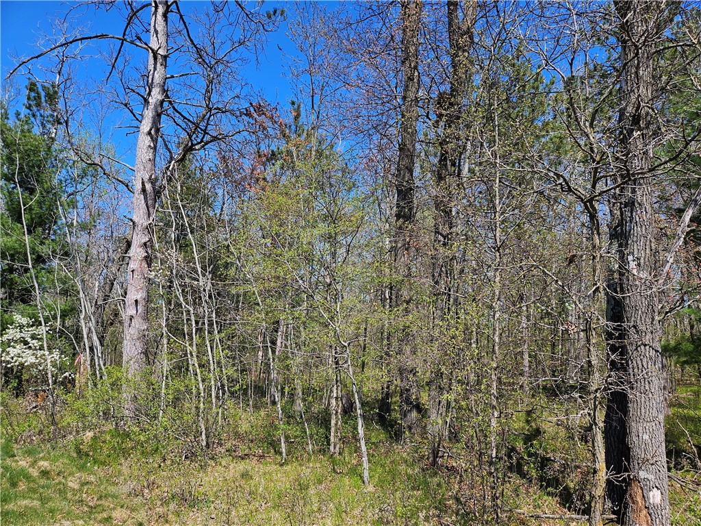  Rice Lake WI 54868 - Red Cedar 1591378 image24