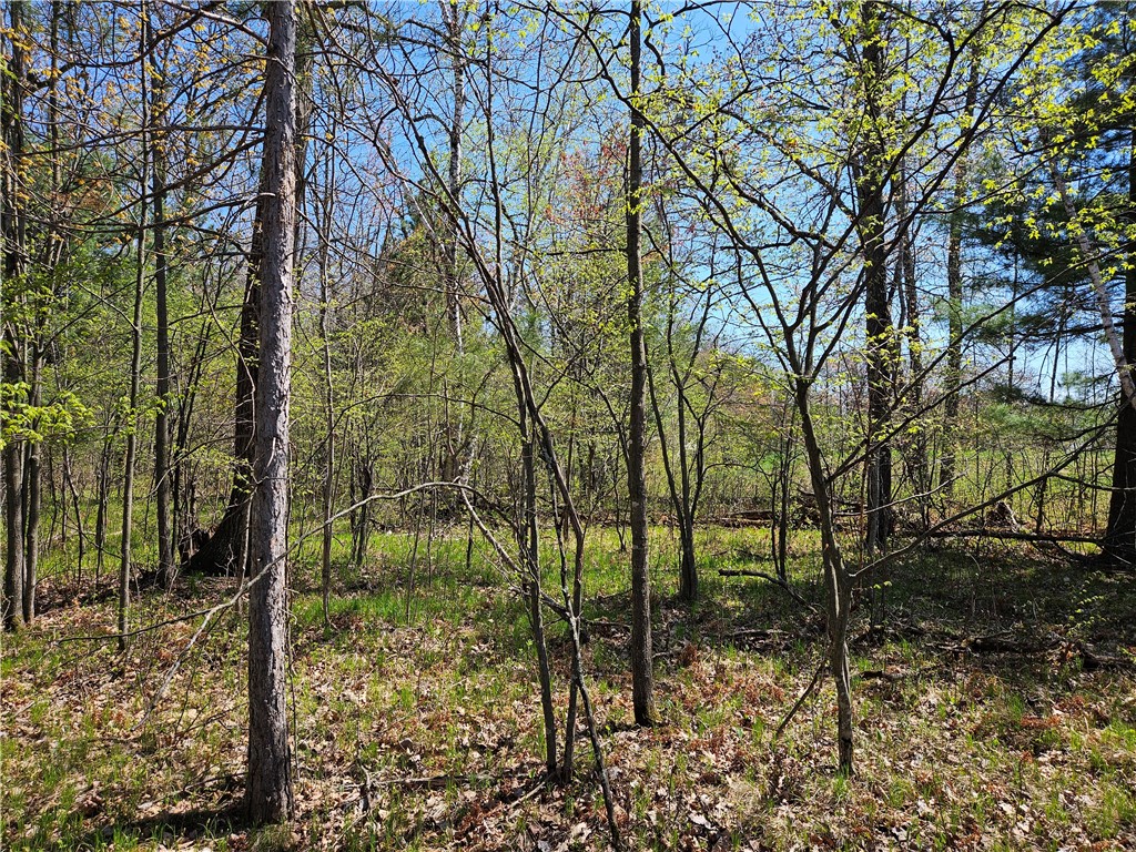  Rice Lake WI 54868 - Red Cedar 1591378 image25