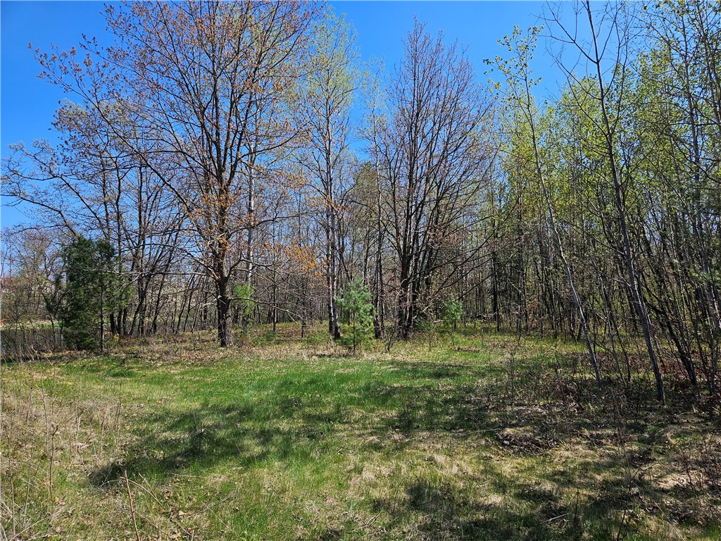  Rice Lake WI 54868 - Red Cedar 1591378 image27