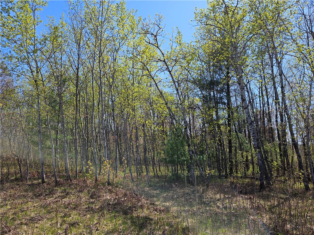  Rice Lake WI 54868 - Red Cedar 1591378 image3