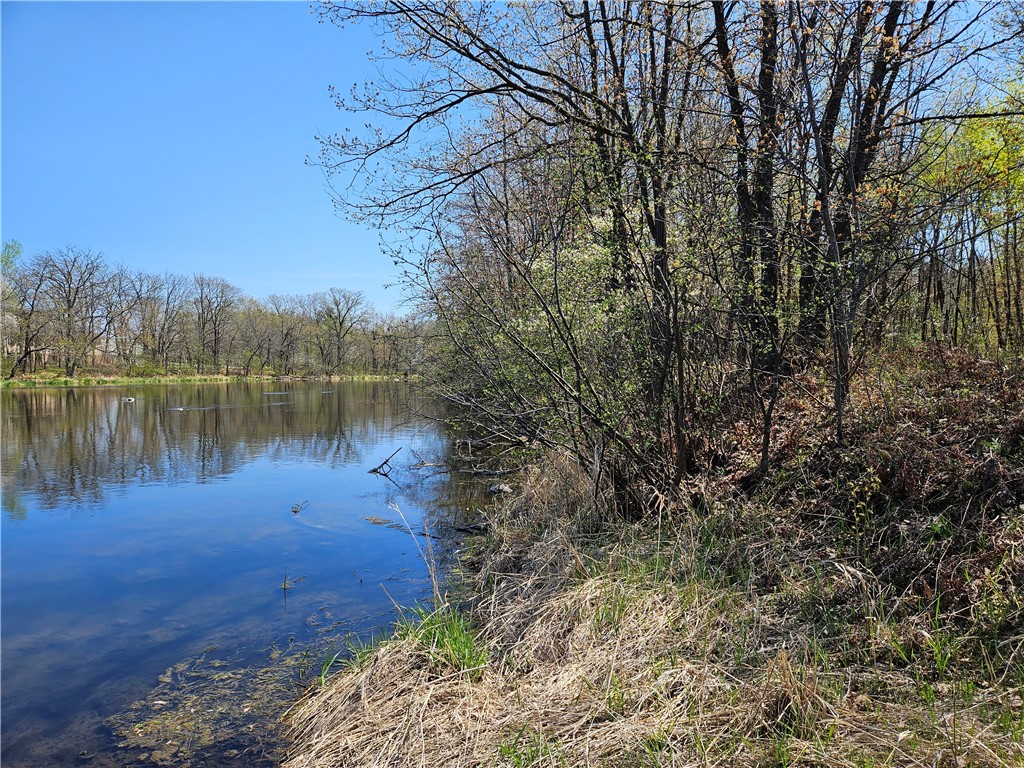  Rice Lake WI 54868 - Red Cedar 1591378 image6