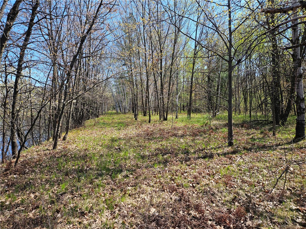  Rice Lake WI 54868 - Red Cedar 1591378 image7