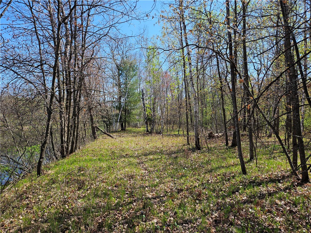  Rice Lake WI 54868 - Red Cedar 1591378 image8