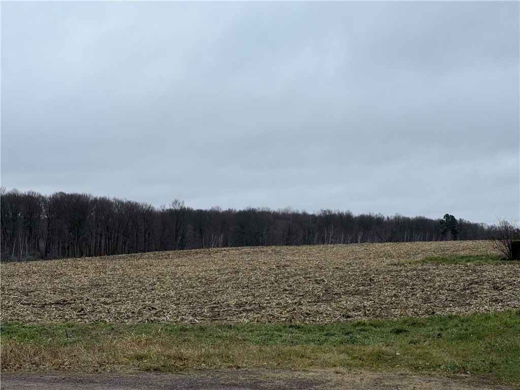  Sarona WI 54870 1597453 image1