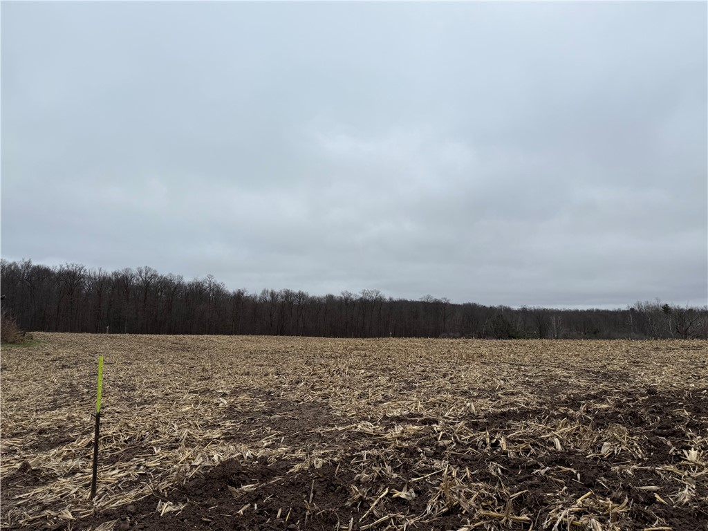  Sarona WI 54870 1597453 image4