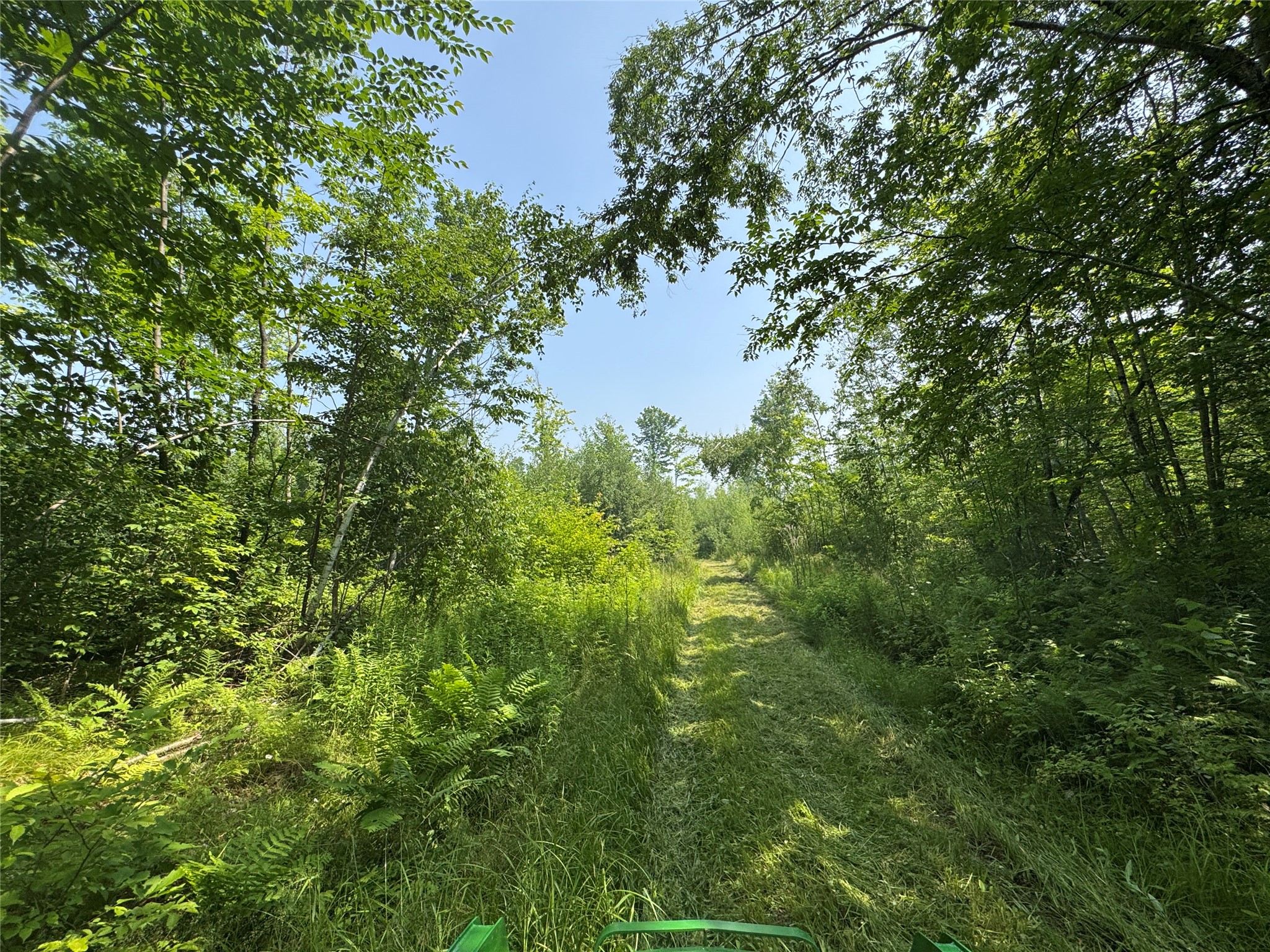  Summit Lake WI 54485 1603386 image3