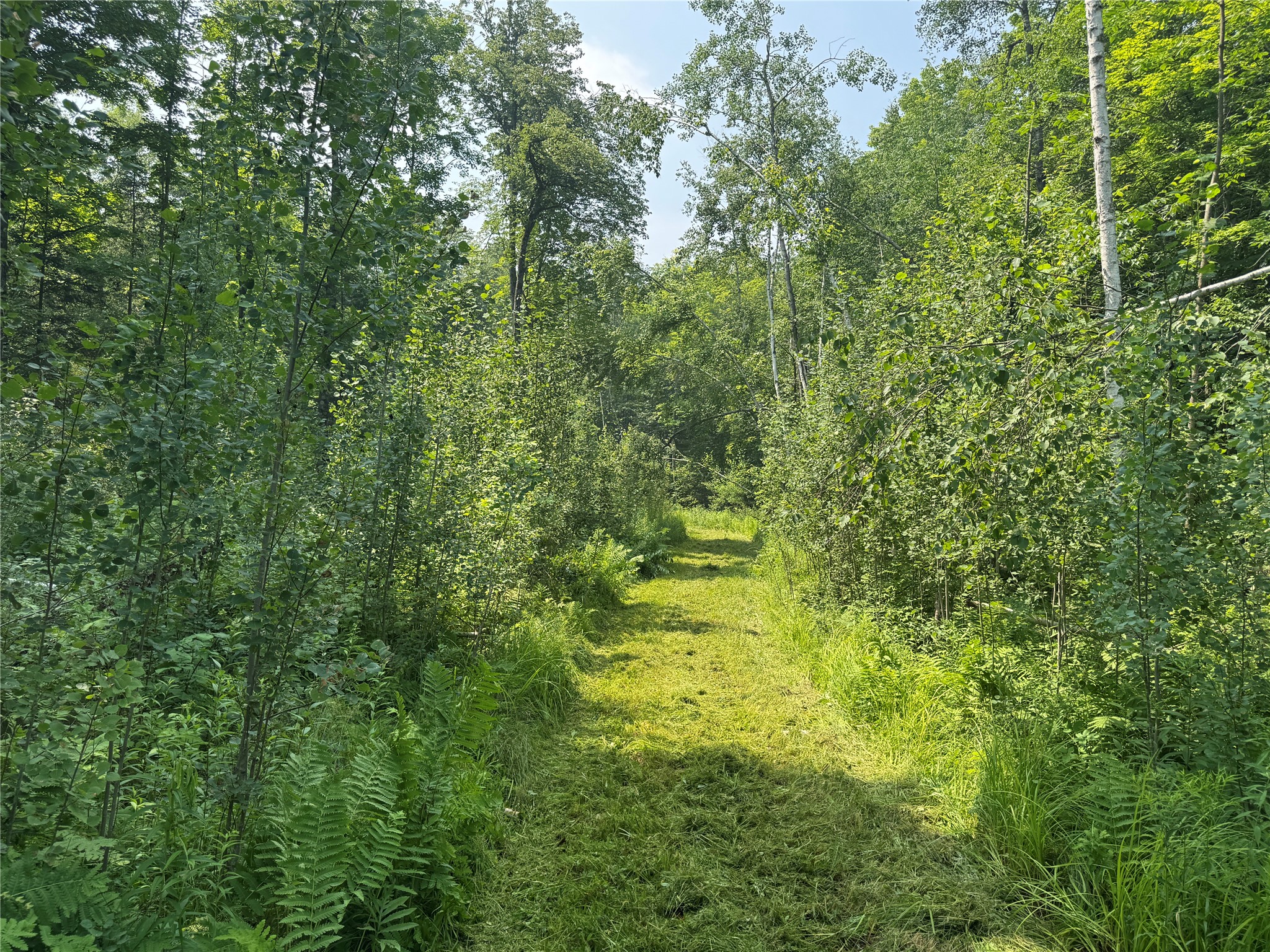  Summit Lake WI 54485 1603386 image6