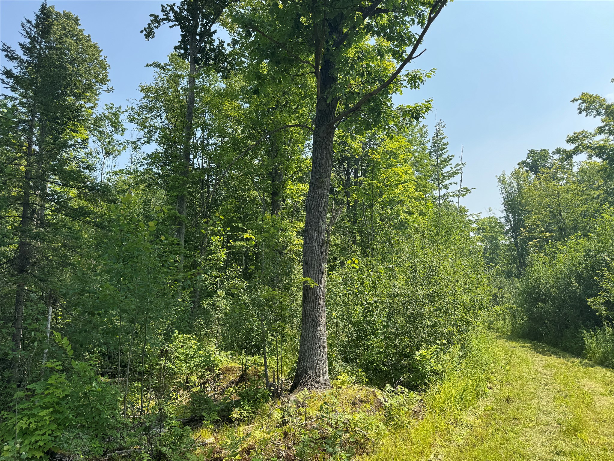  Summit Lake WI 54485 1603386 image7