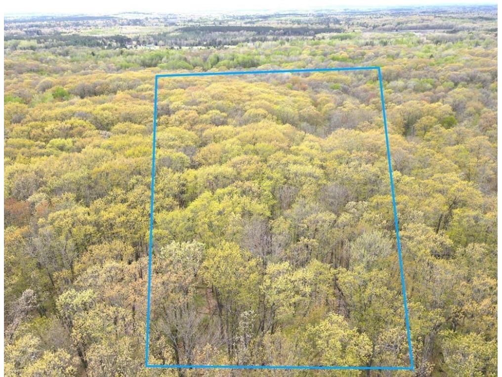 Trego WI 54888 1601235 image12