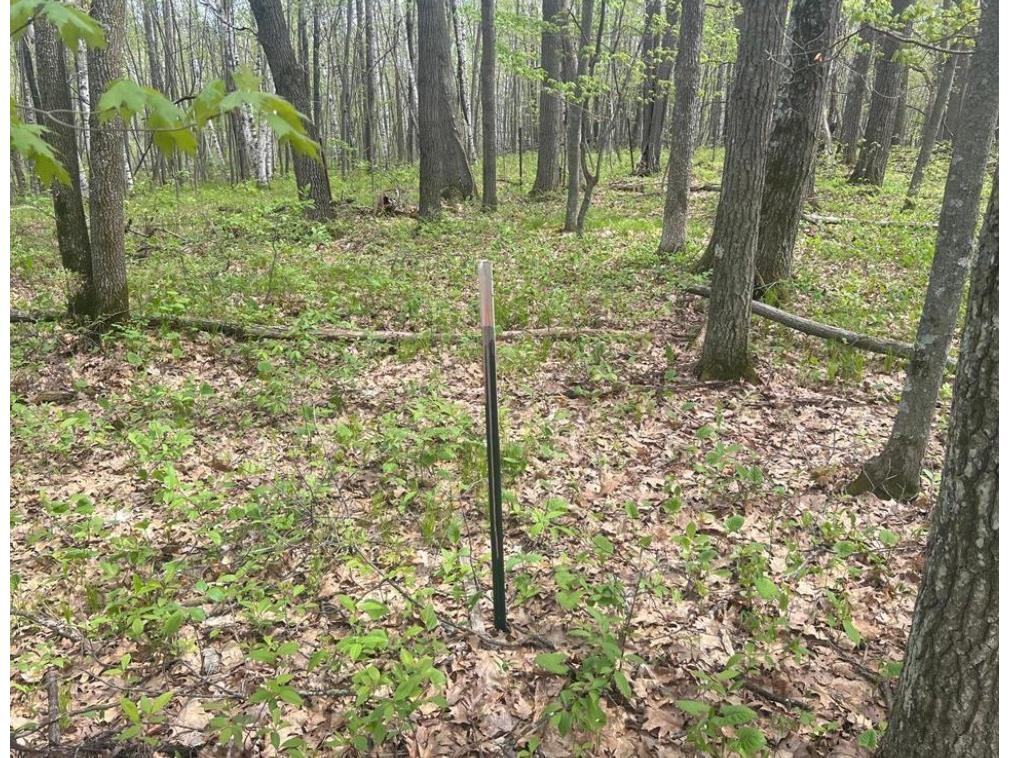  Trego WI 54888 1601235 image17