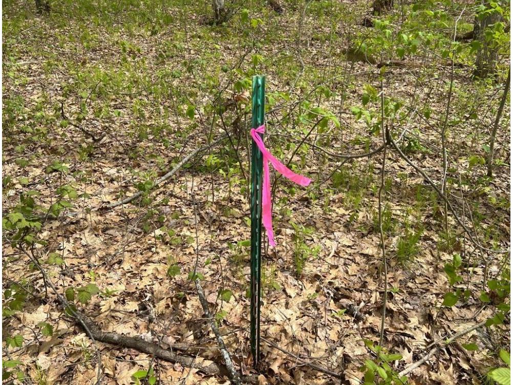  Trego WI 54888 1601235 image18