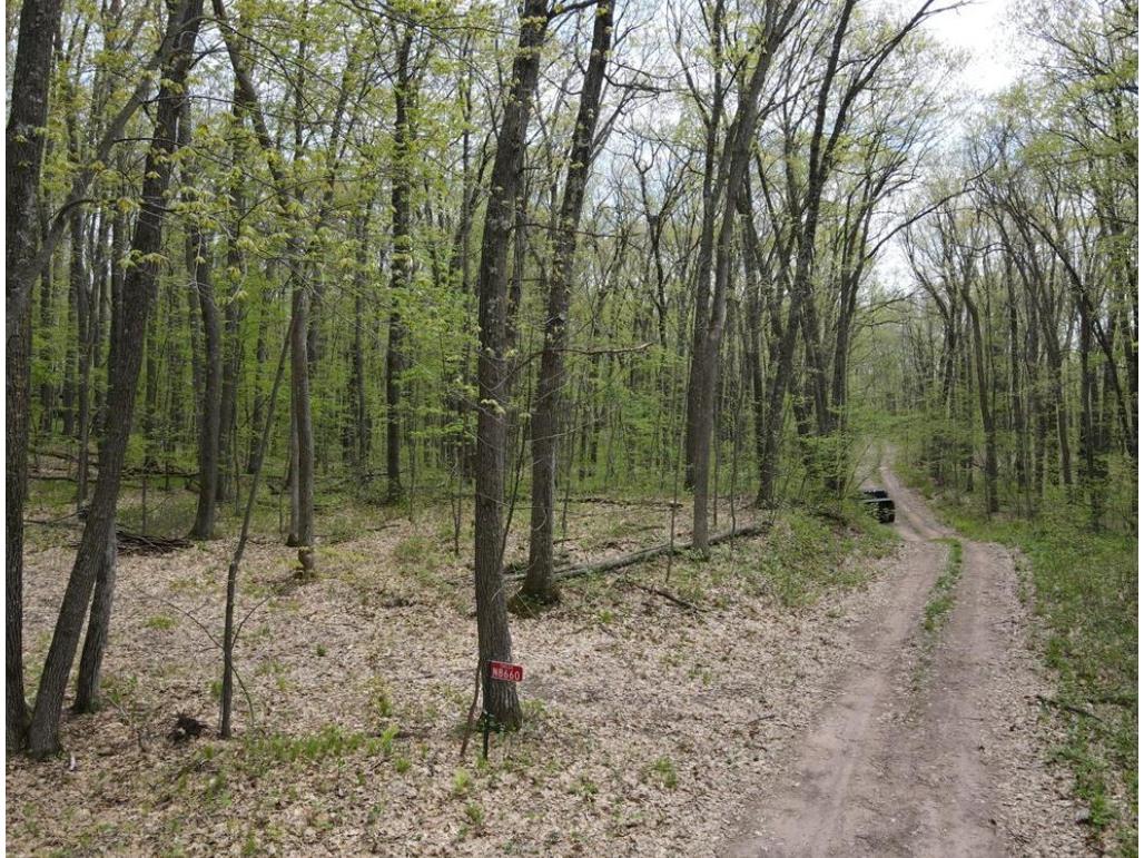  Trego WI 54888 1601235 image2