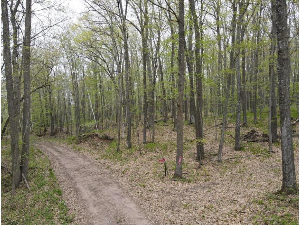  Trego WI 54888 1601235 image3