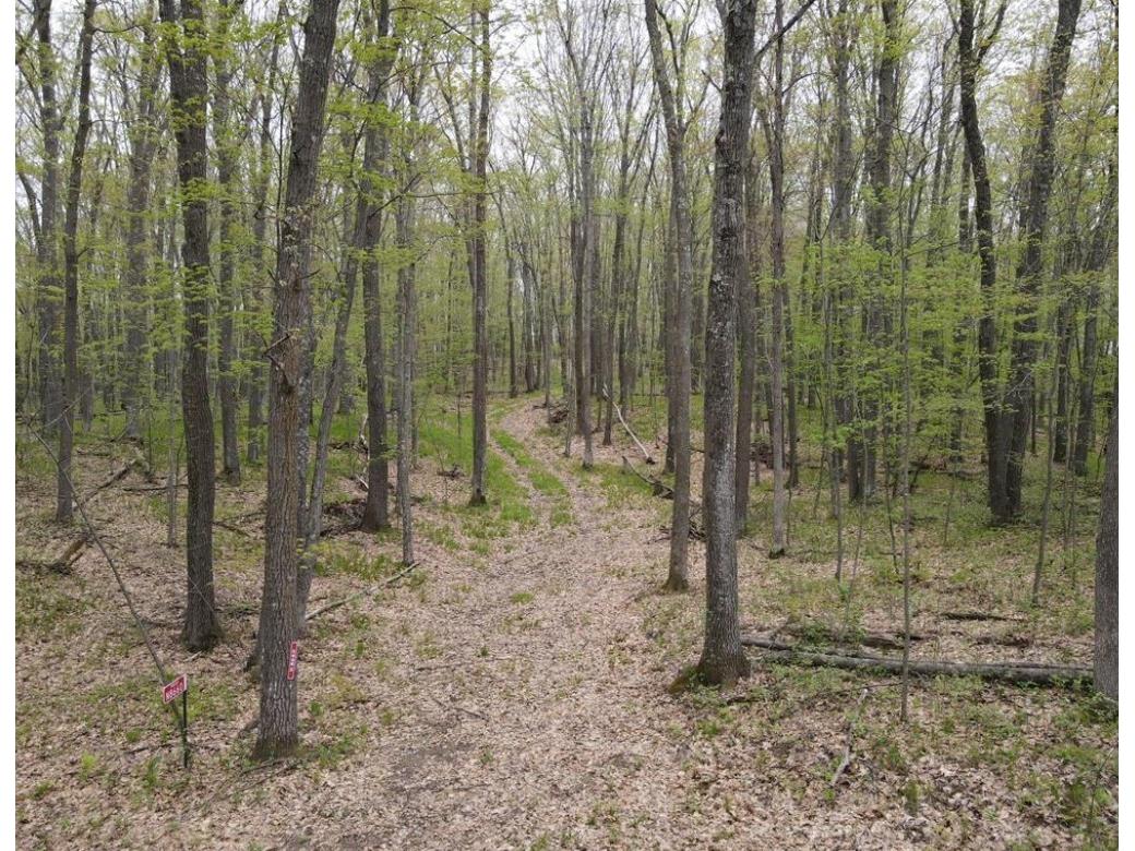  Trego WI 54888 1601235 image5