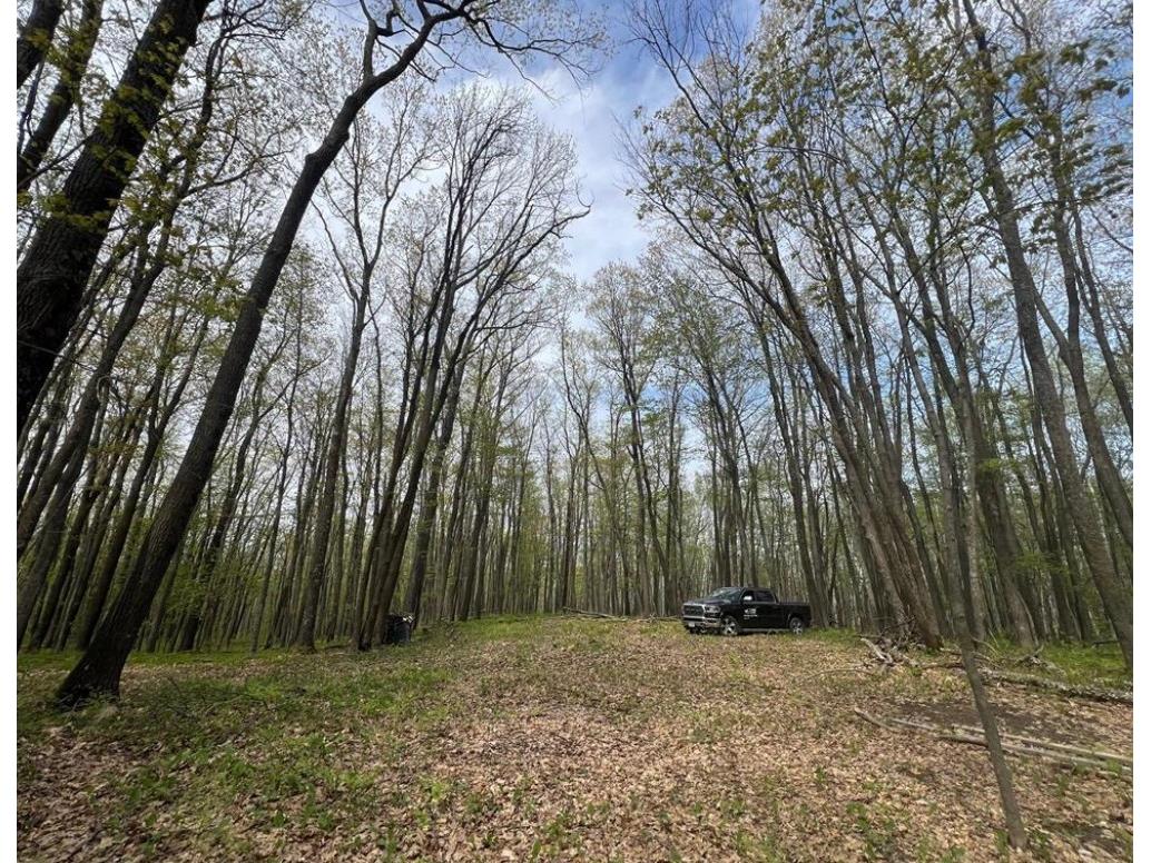  Trego WI 54888 1601235 image6