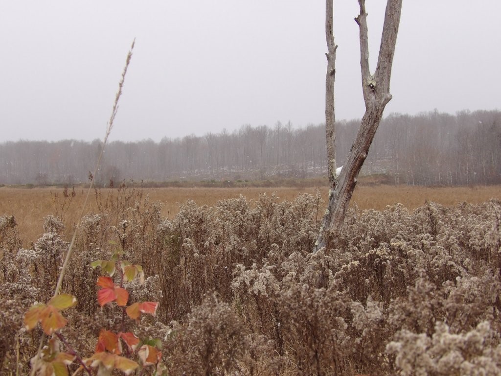  Winter WI 54896 - Dry Creek 1578139 image1