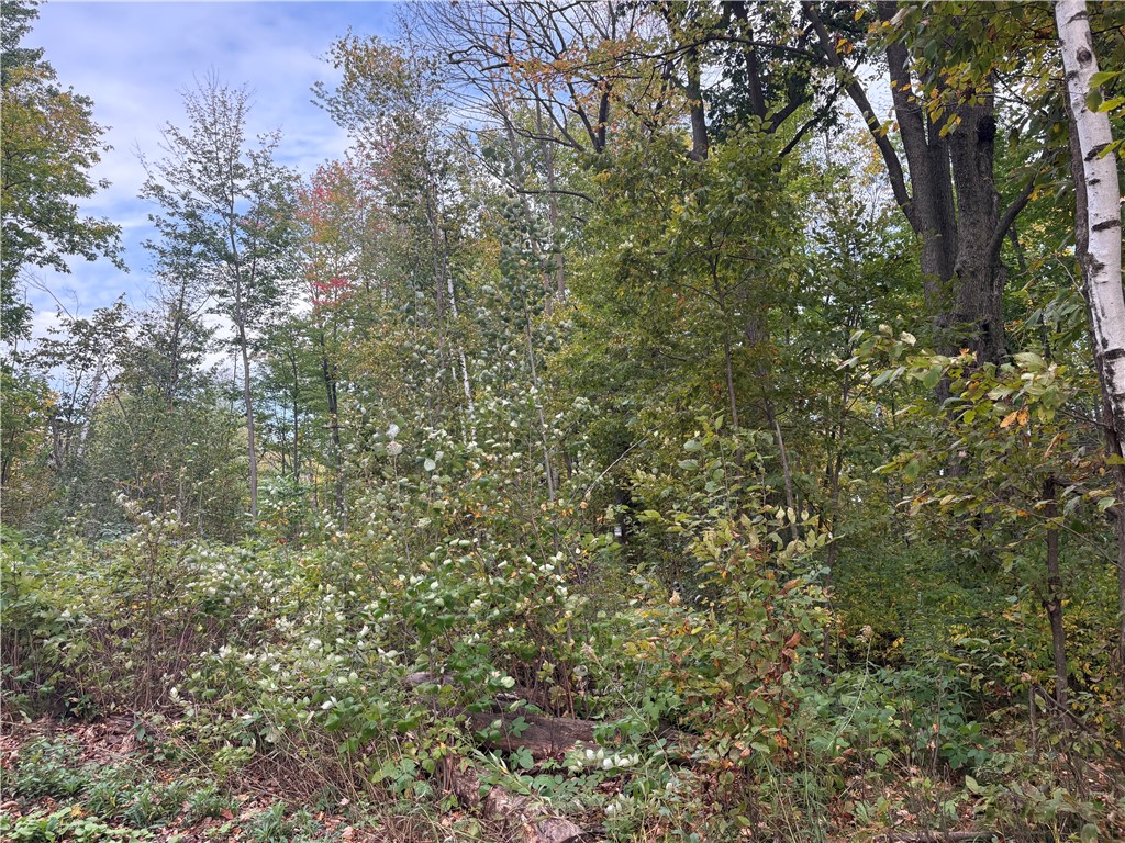 0 10 1/2 Barron WI 54812 1596170 image1